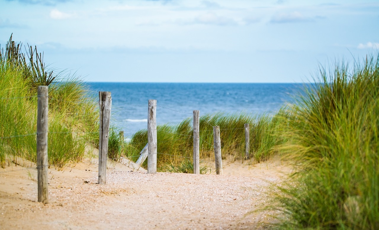 Eenouderuitje: Strandwandeling